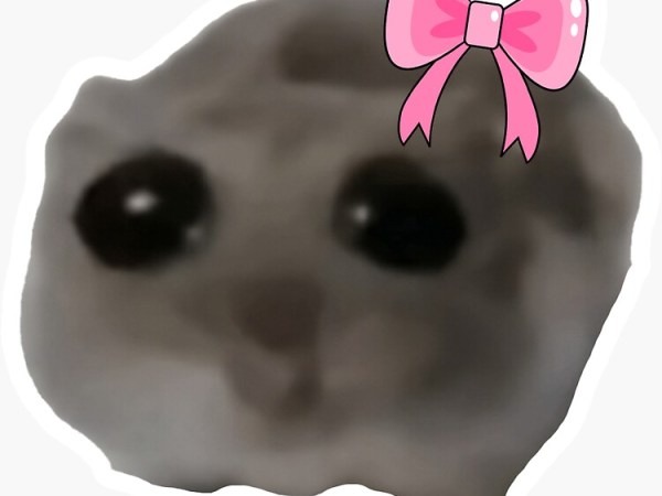 Rectificatie/rectificación