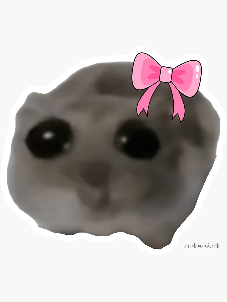 Rectificatie/rectificación